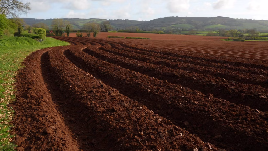 ptxt freeform potato bedforming