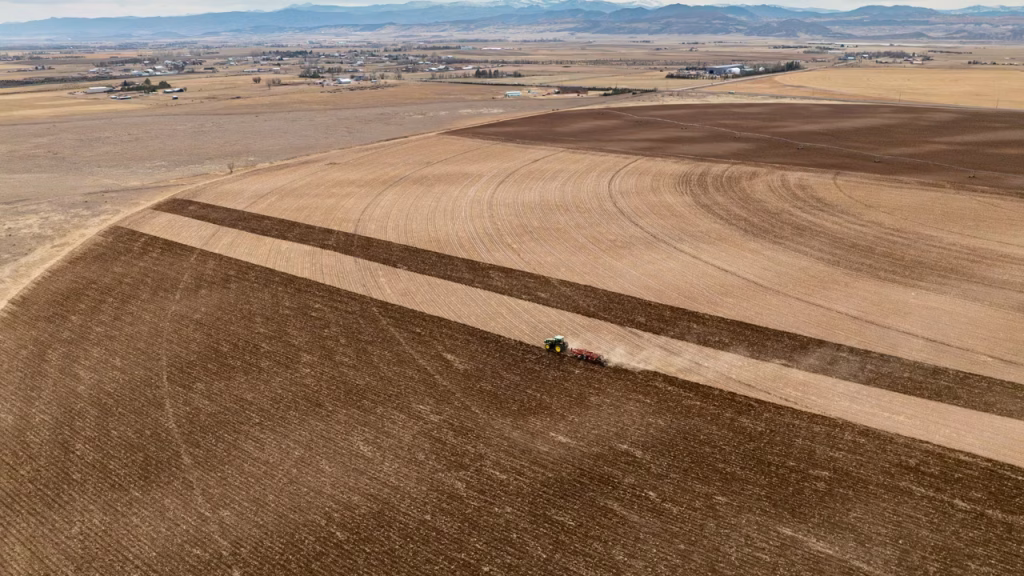 ptxt nav 960 straight rows