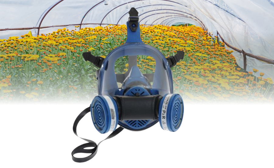 Personal Protective Equipment 6 FULL FACE MASK