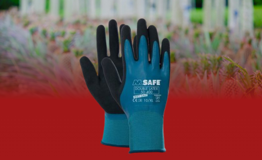 Personal Protective Equipment 5 M SAFE DOUBLE LATEX